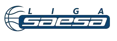 Chile Liga SAESA