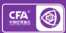 Liga Satu Wanita Cina