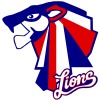Southern tiger