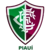 Fluminense PI (Youth)